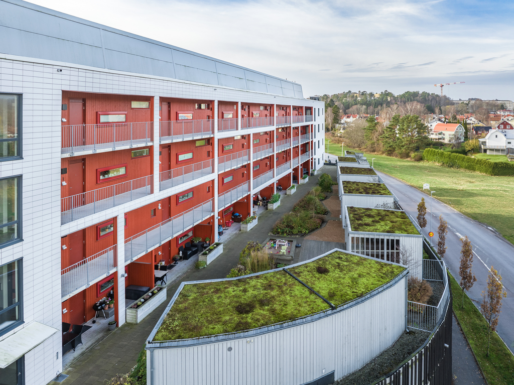 Föreningens bakgård