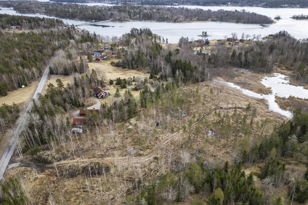 Eknömaren till höger i bild