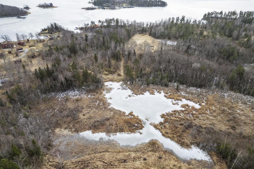Eknömaren vintertid