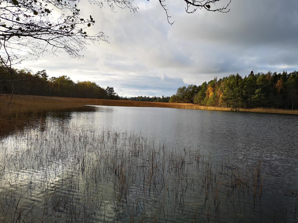 Eknömaren om hösten