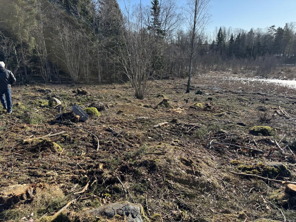 Tomten i vår/vinterskrud