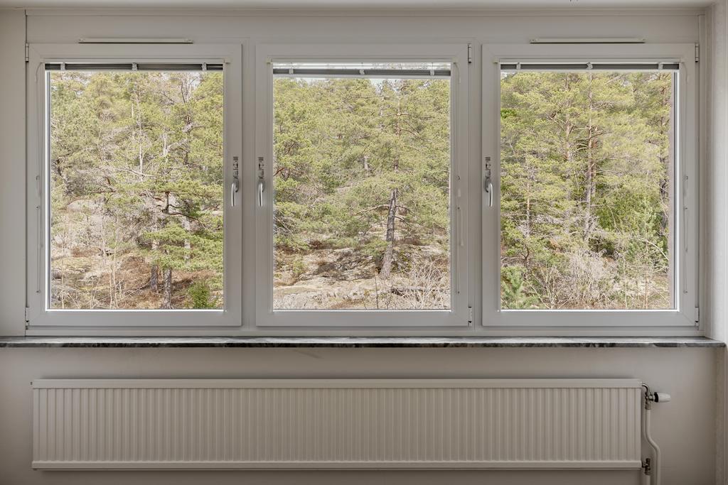 Generösa fönster med utsikt till talltopparna