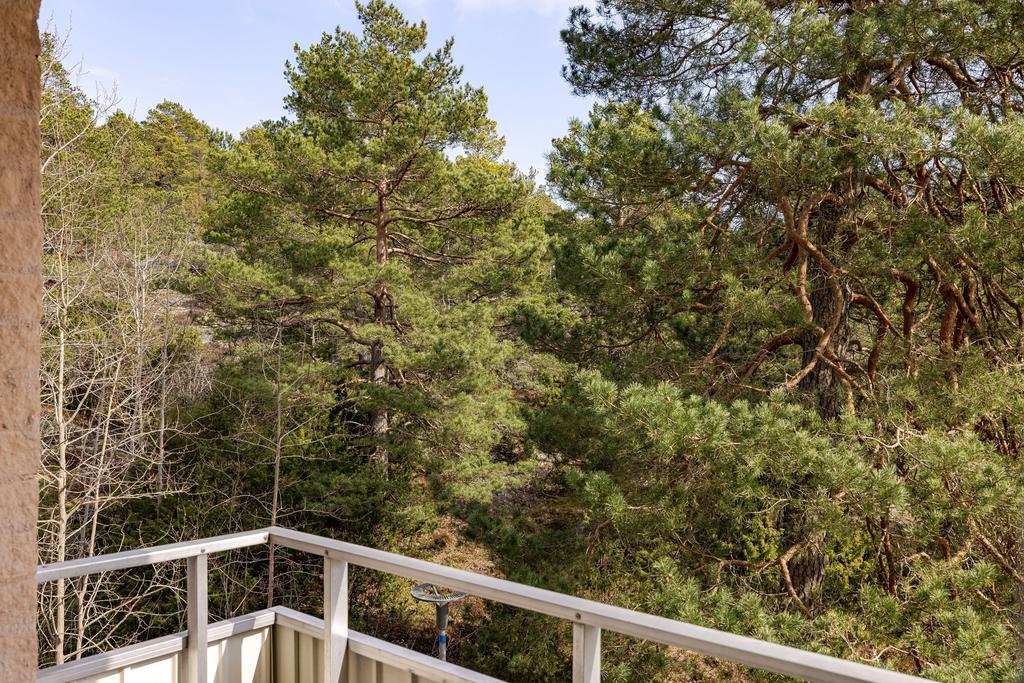 Utsikt mot skogsparti från balkongen