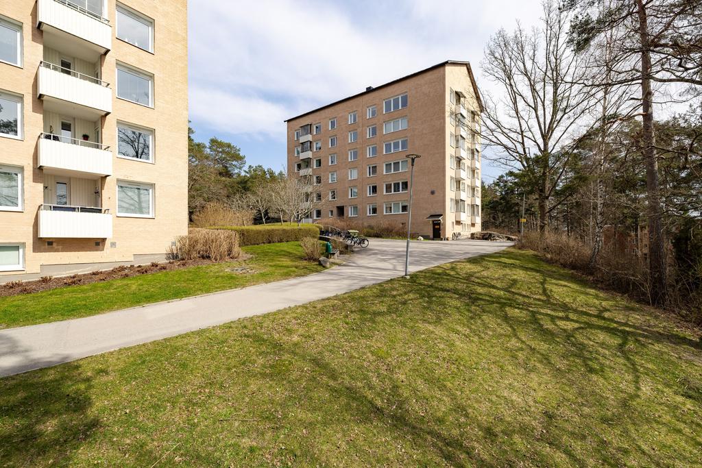 Grönt och fint i området