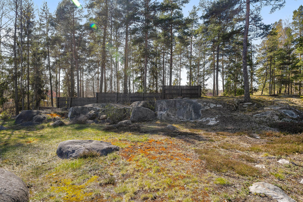 Baksida