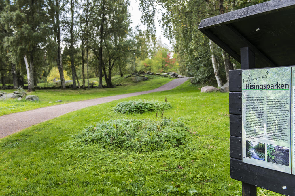 Hisingsparken erbjuder mycket fina promenadstråk. 