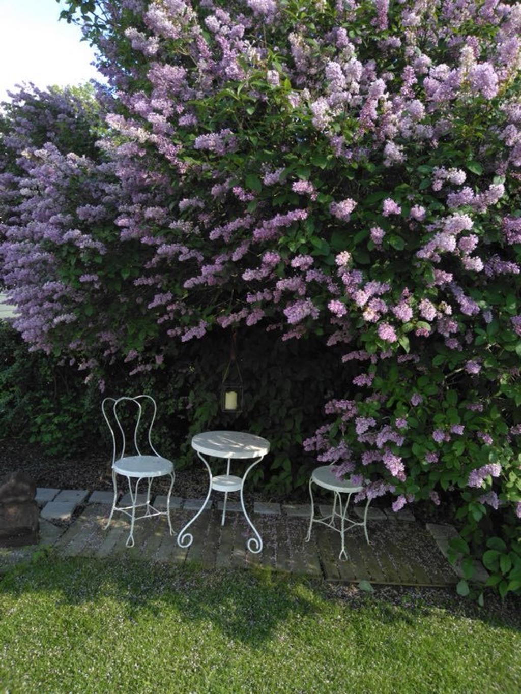 Säljarens sommarbild