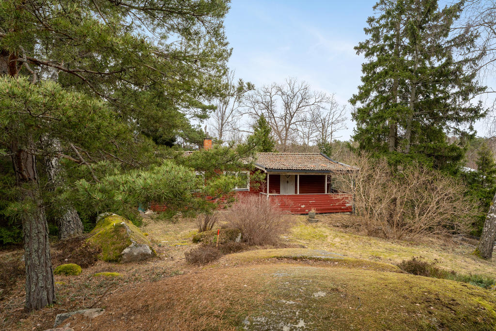 Uppvuxen tomt med stora möjligheter