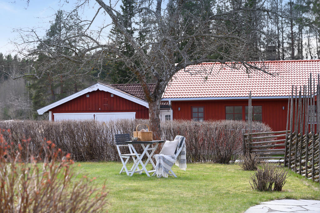 Mysiga fikaplatser i trädgården
