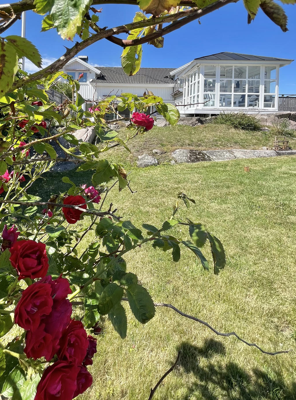 Sommarbild från Snappegatan 7