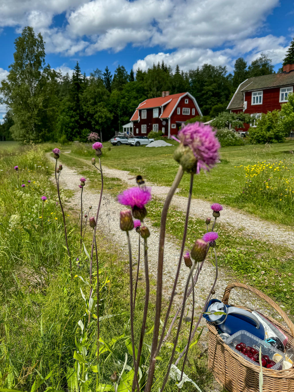 Kundens egna sommarbild