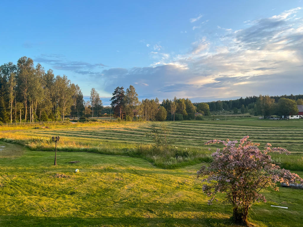 Kundens egna sommarbild