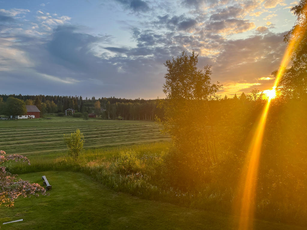 Kundens egna sommarbild