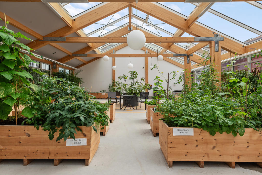 Möjlighet till egen odling