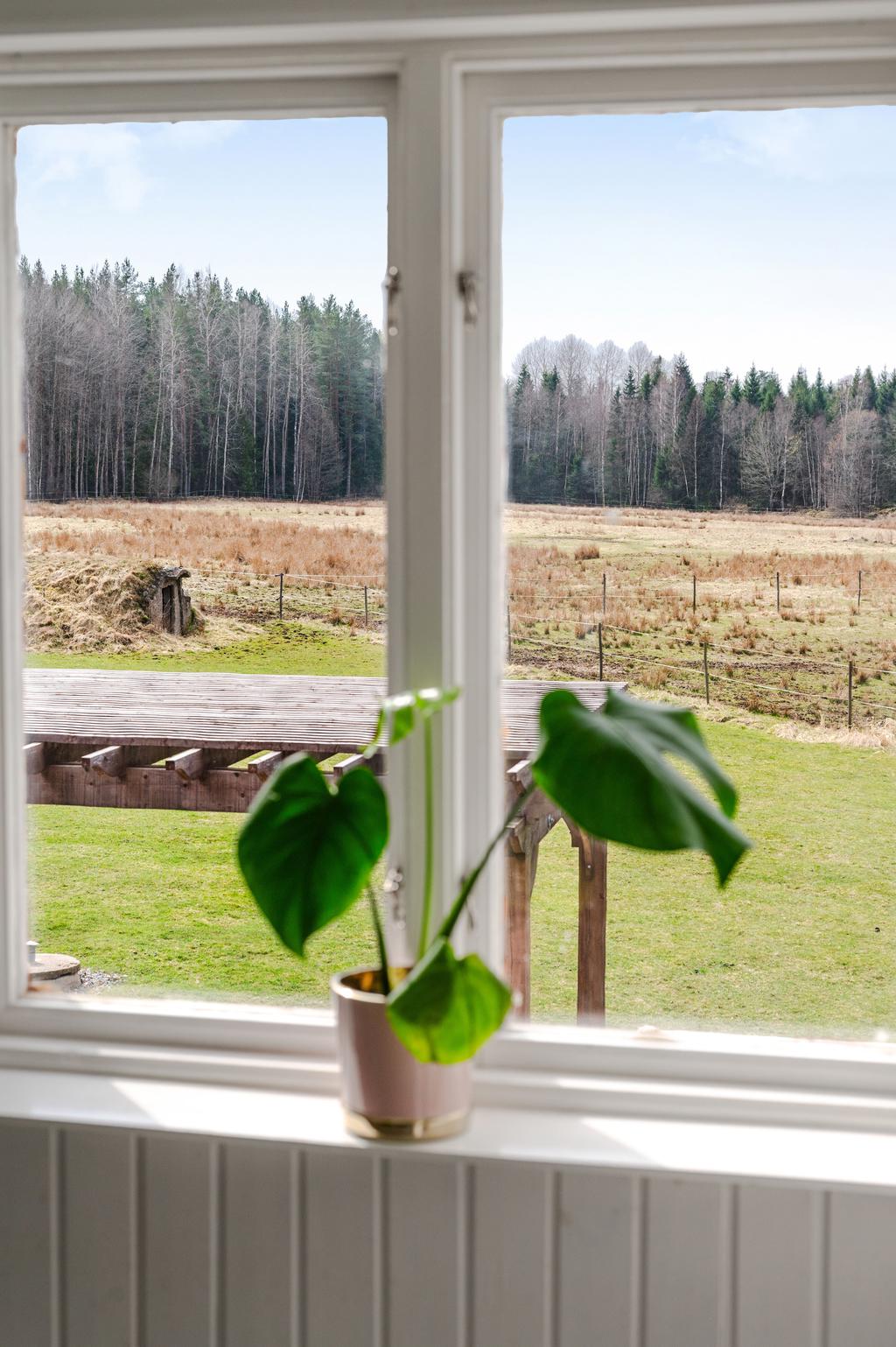 Vyn från övre hallen över trädgård och hagar