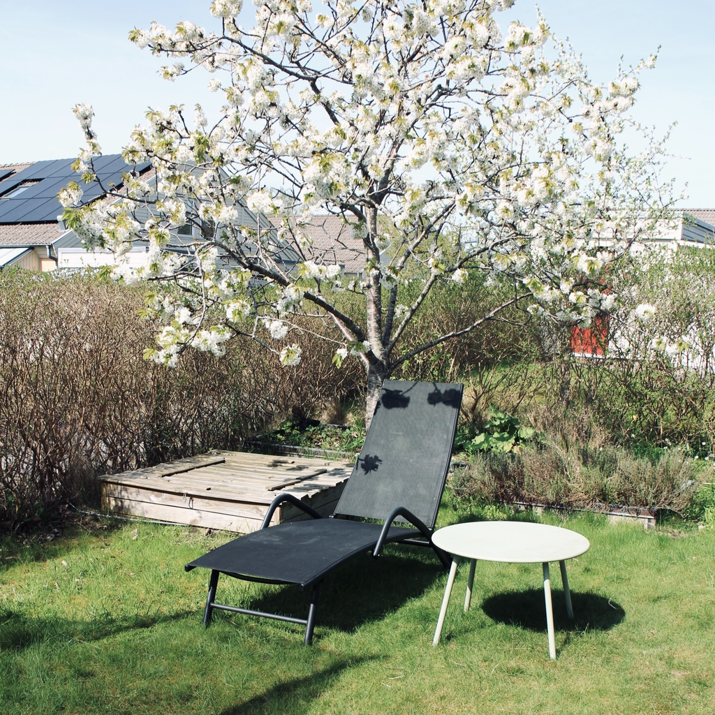 Säljarens privata bild från trädgården