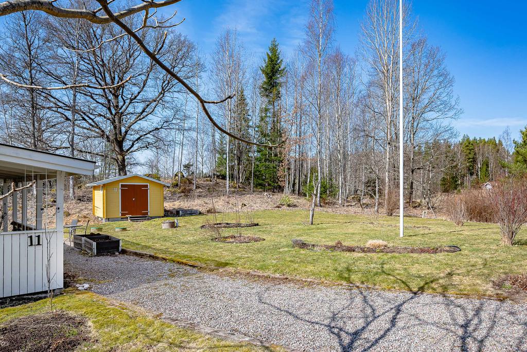 Trädgårdstomt runt huset med liten skogsdunge invid