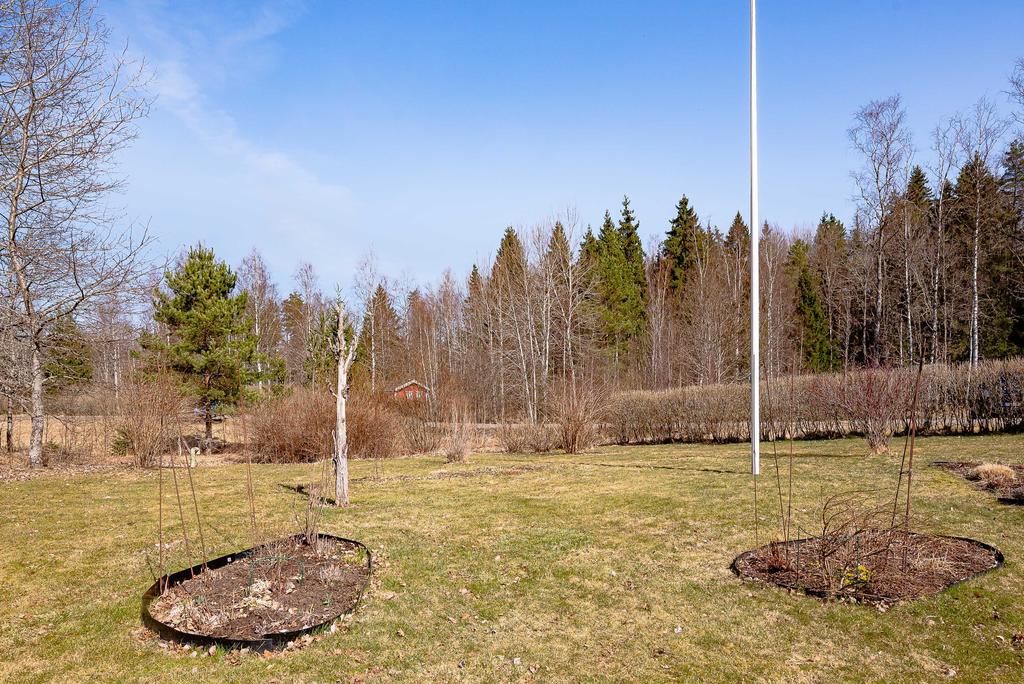 Trädgrådstomt inramad av buskar och häckar - öppen äng invid