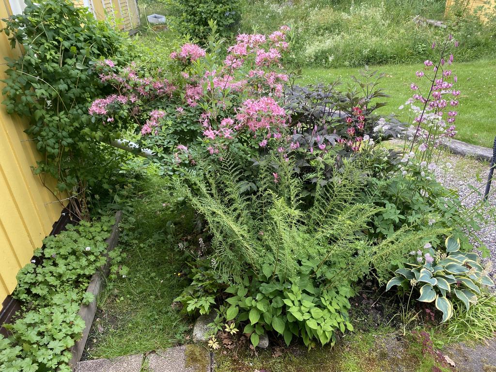 Säljarens sommarbild