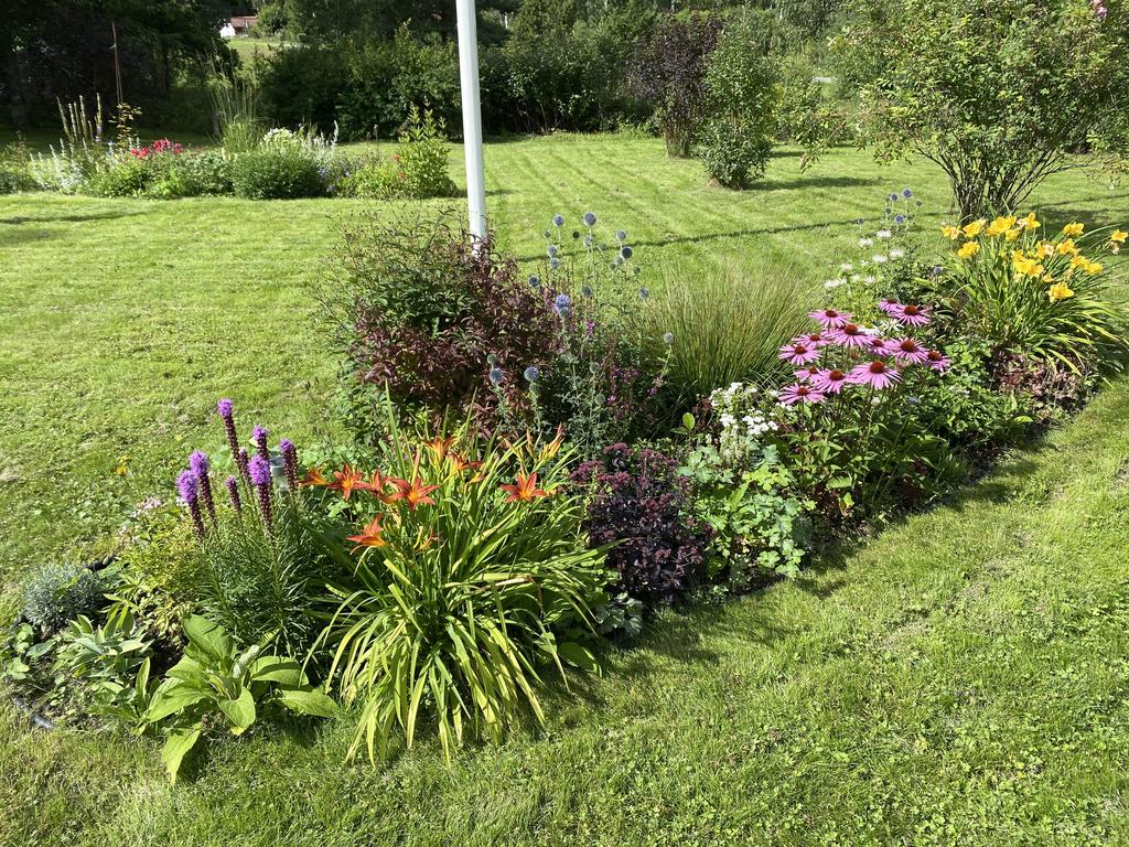 Säljarens sommarbild