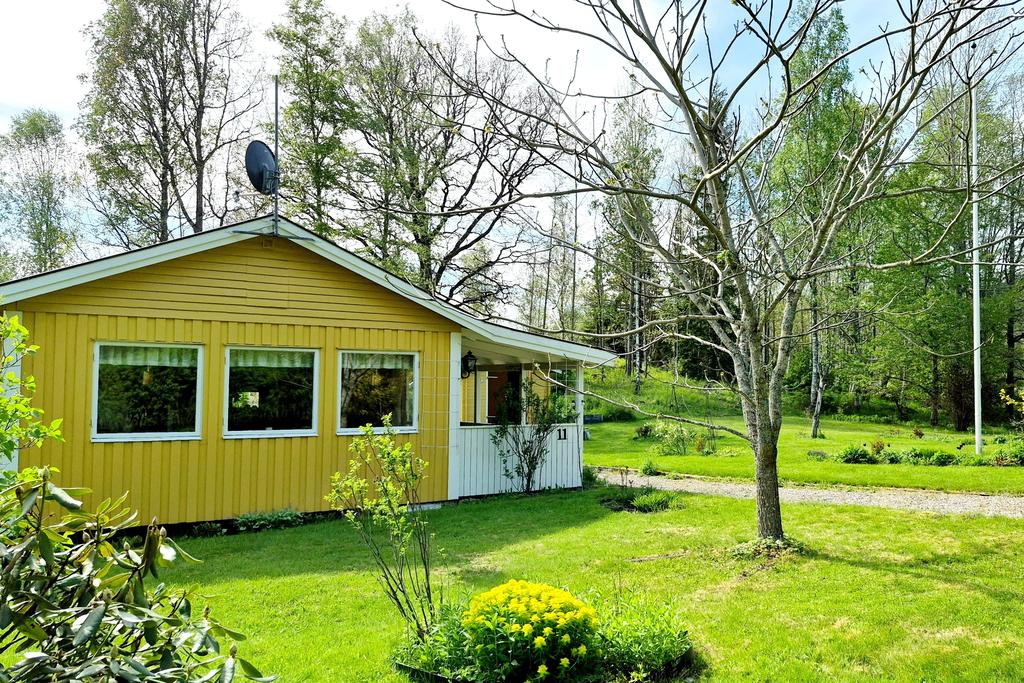 Trädgårdstomt runt huset med liten skogsdunge invid
