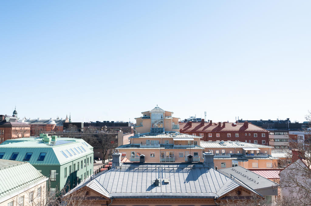 Utsikt över takåsarna