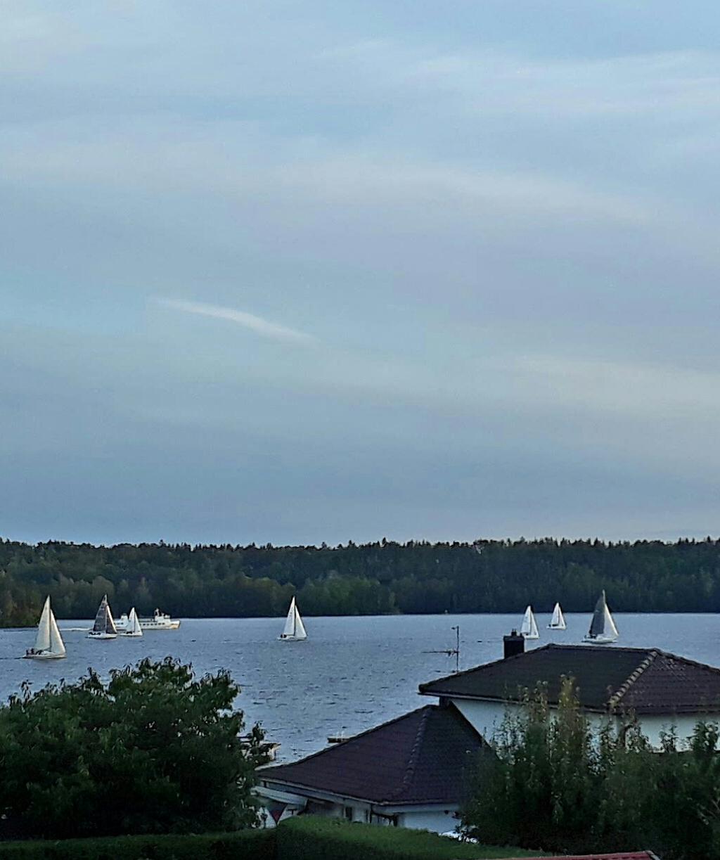 Säljarens sommarbild