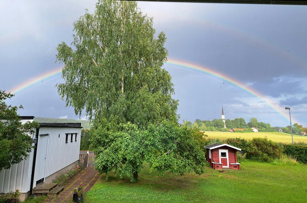 Säljarens sommarbild