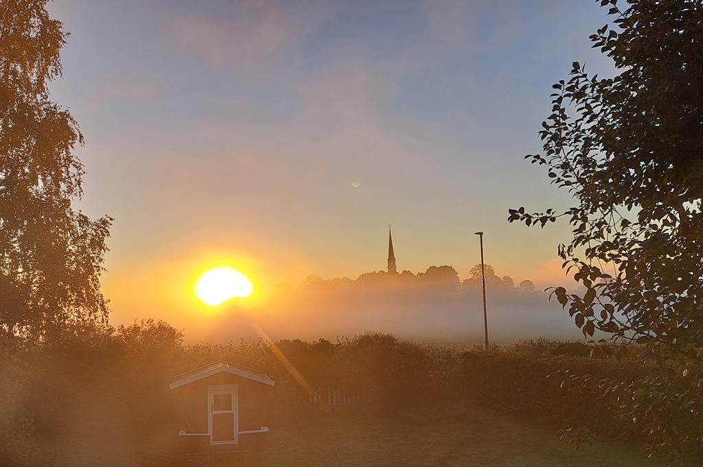 Säljarens bild, soluppgång i dimma 