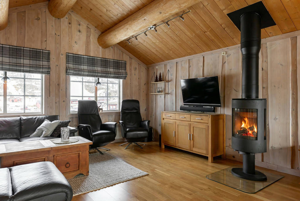 Värmande kamin och utsikt mot alpina skidsystemet