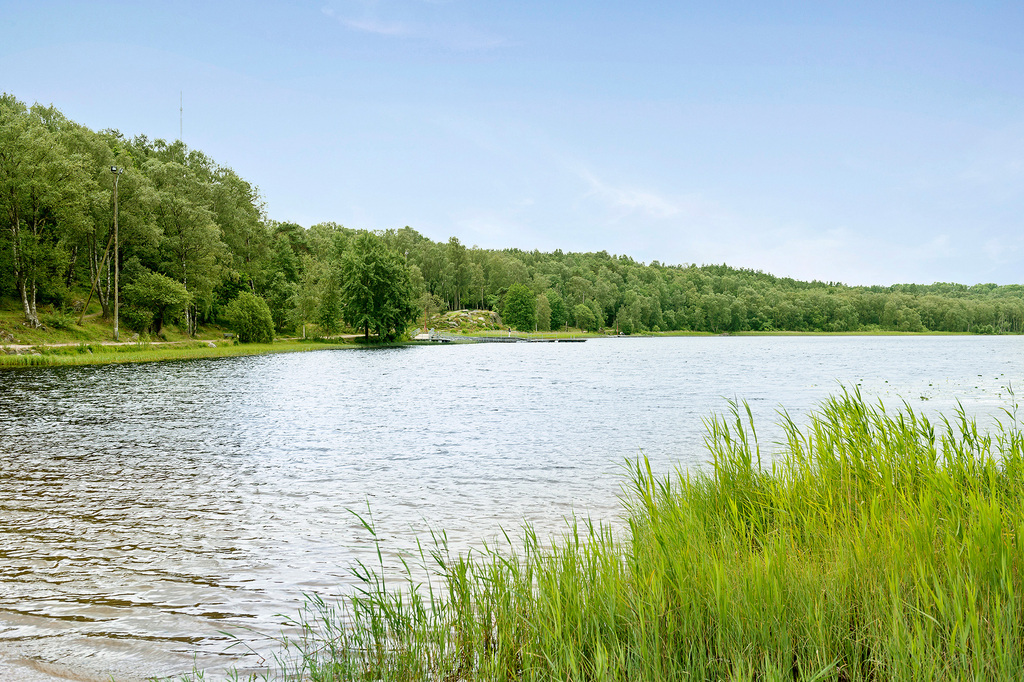 Vackra omgivningar att vandra i, bland annat Härlanda tjärn