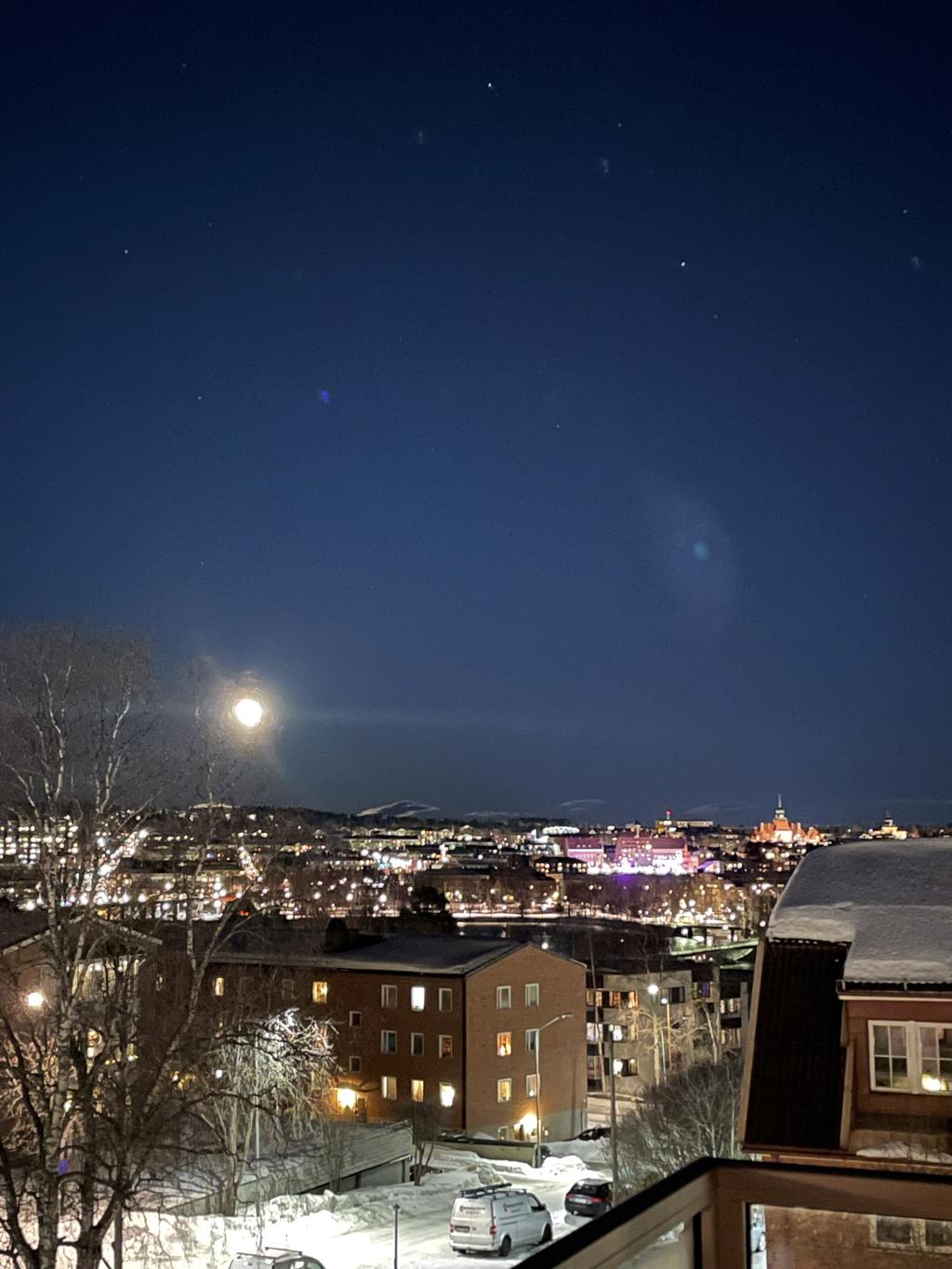 Säljarens egna bild