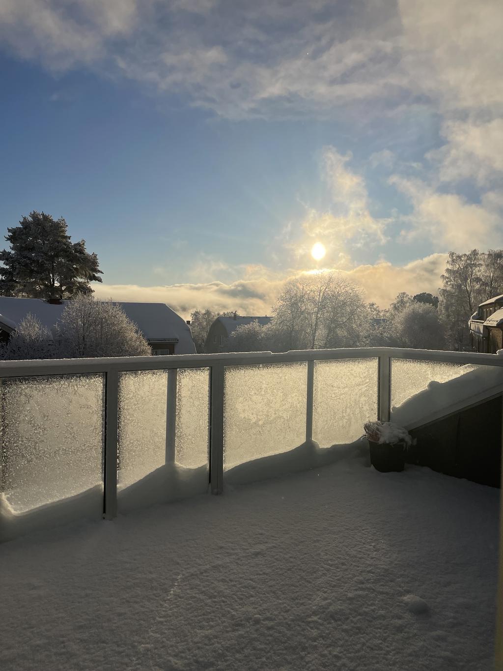 Säljarens egna bild