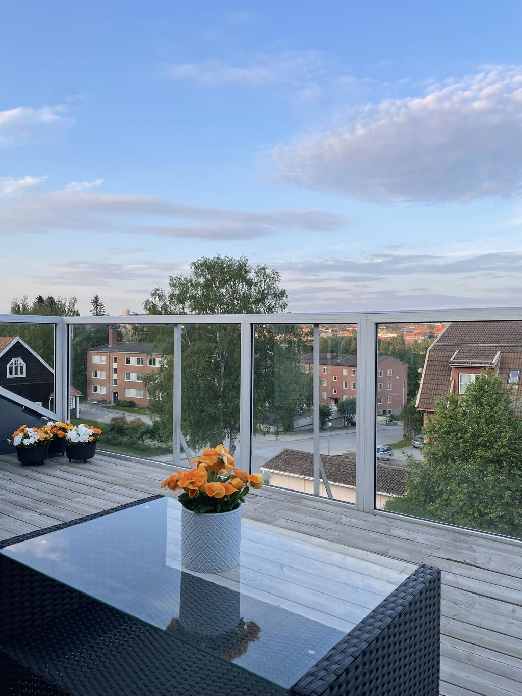 Säljarens egna bild