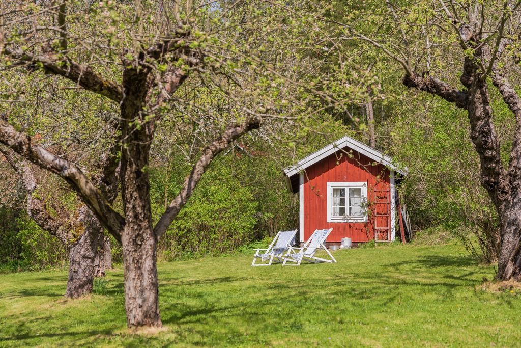 Sovstuga inbäddad i lummig grönska