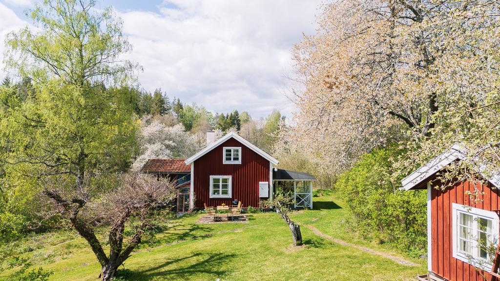 Hälig trädgård med fruktträd och syrener