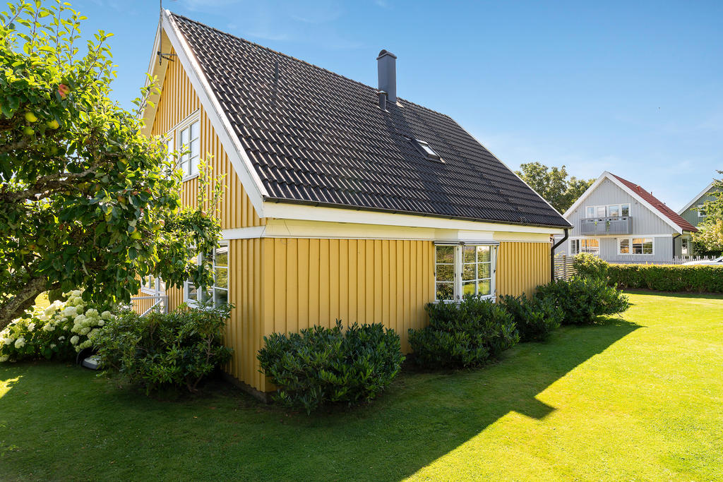Plan trädgårdstomt