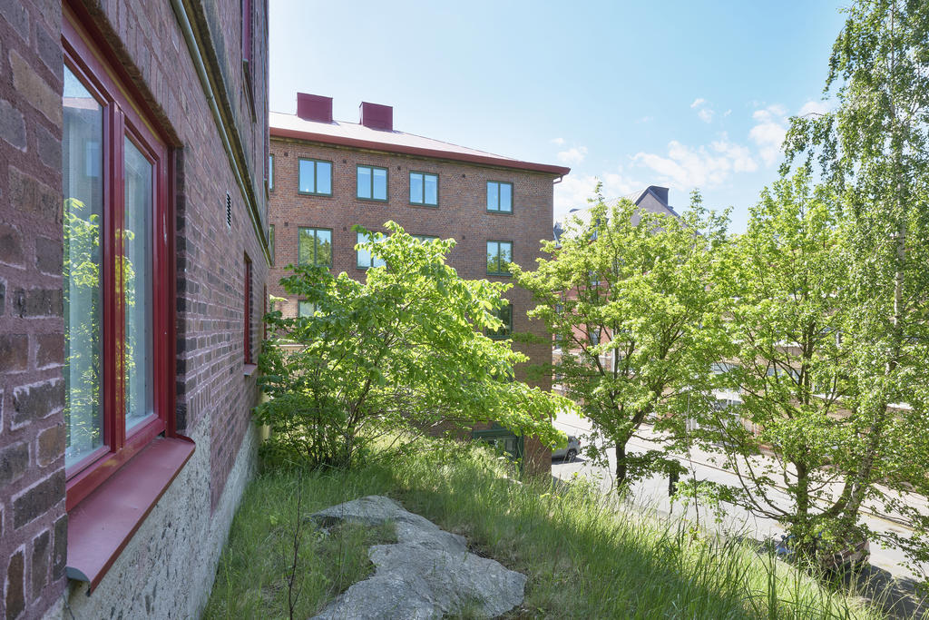 Grönska utanför bostadens fönster