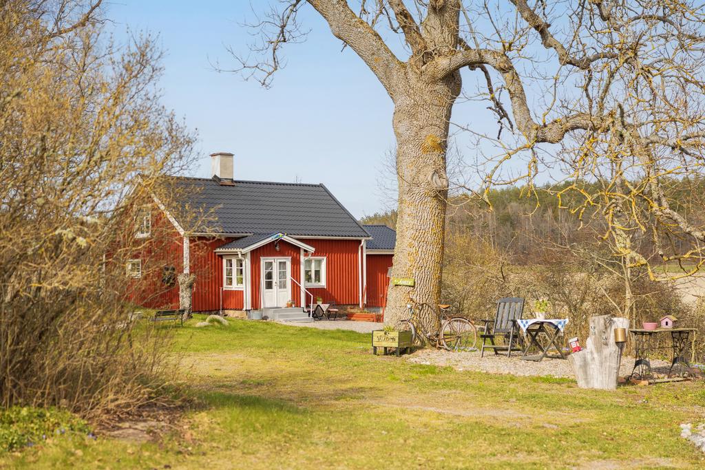 Rofyllda omgivningar