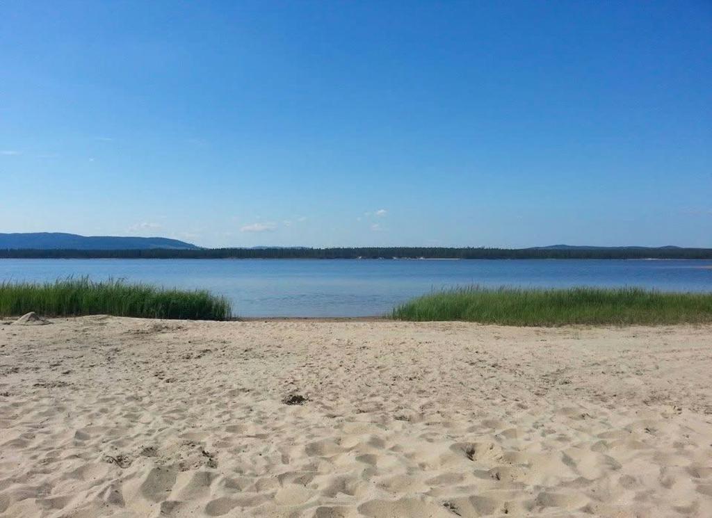 Säljarens egna bild