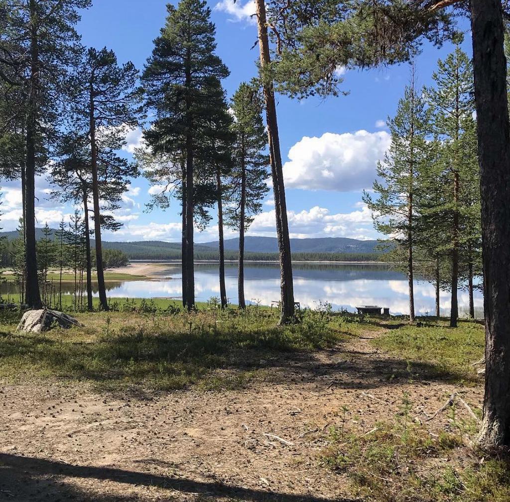 Säljarens egna bild