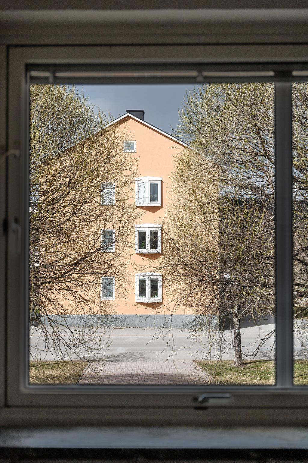 Utsikt från köksfönstret