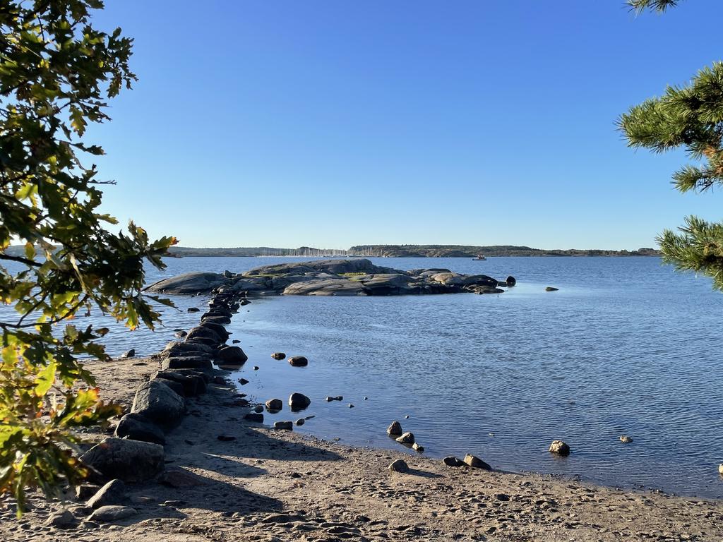 Underbara Särö Västerskog