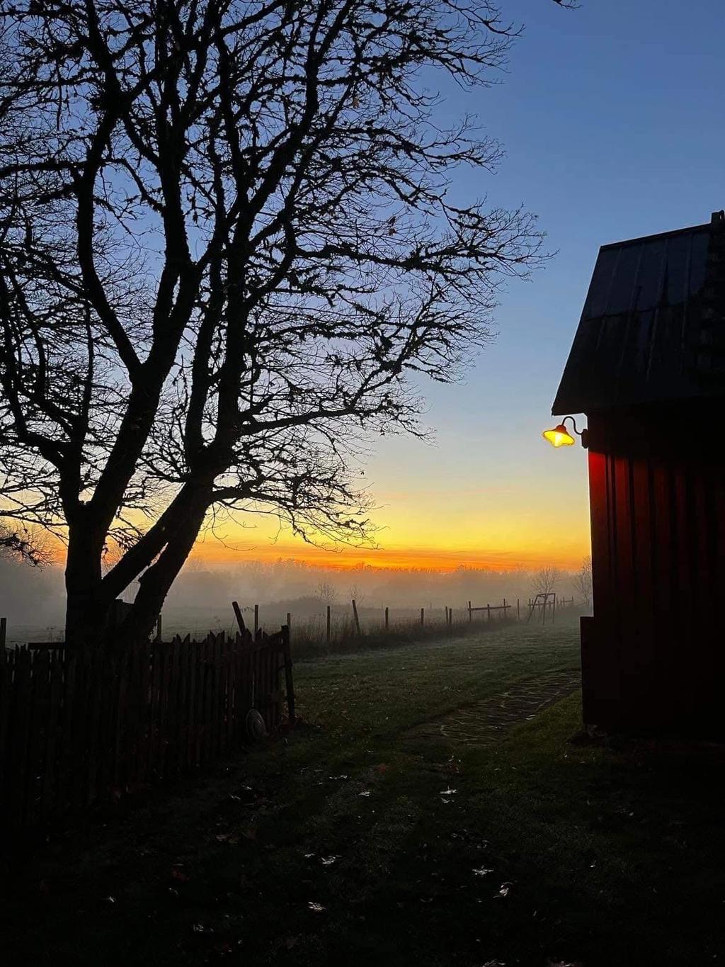 Säljaren egna bilder