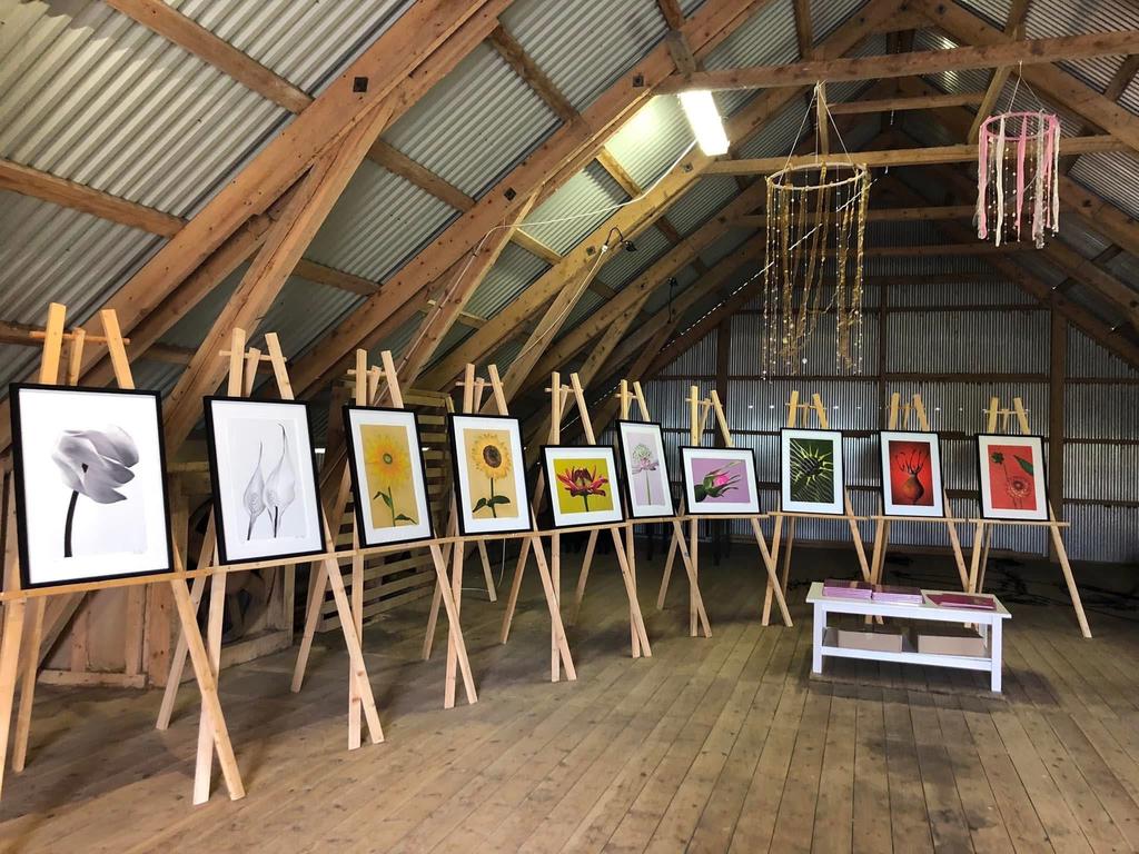 Säljaren egna bilder