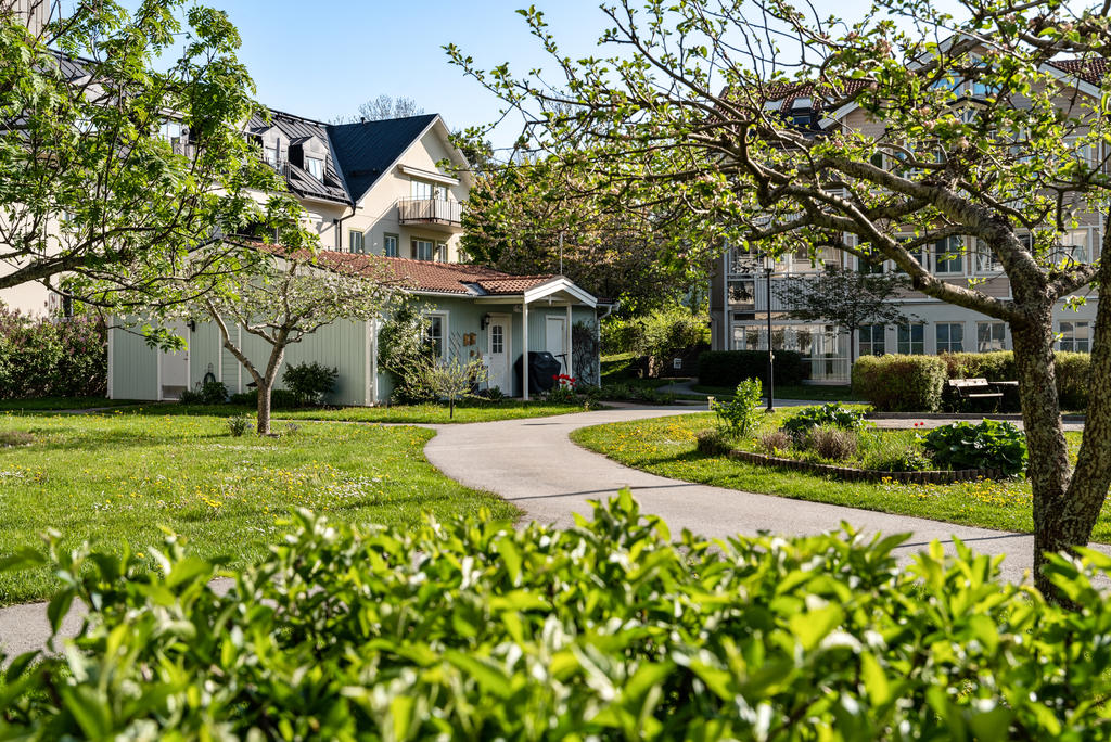 Trädgården med Kajutan i bakgrunden