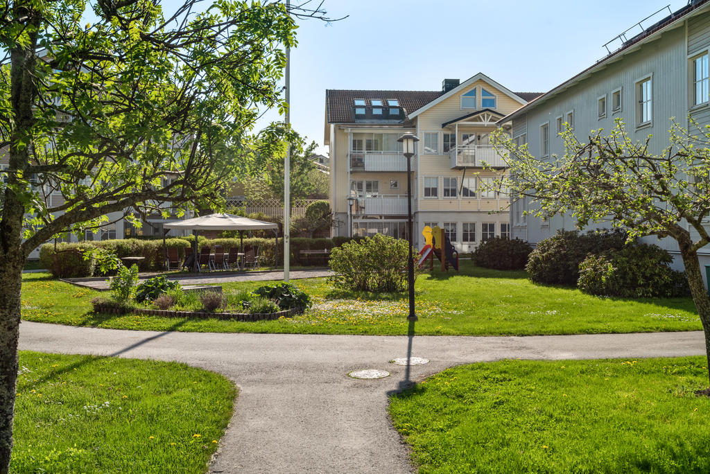 Föreningens trädgård