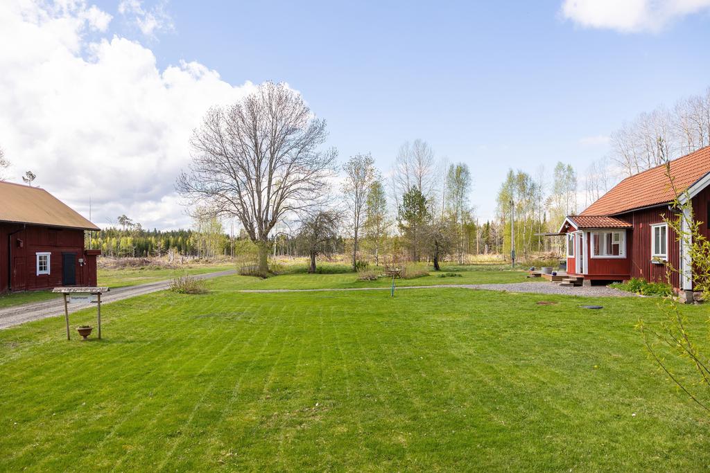 Trädgård på husets framsida