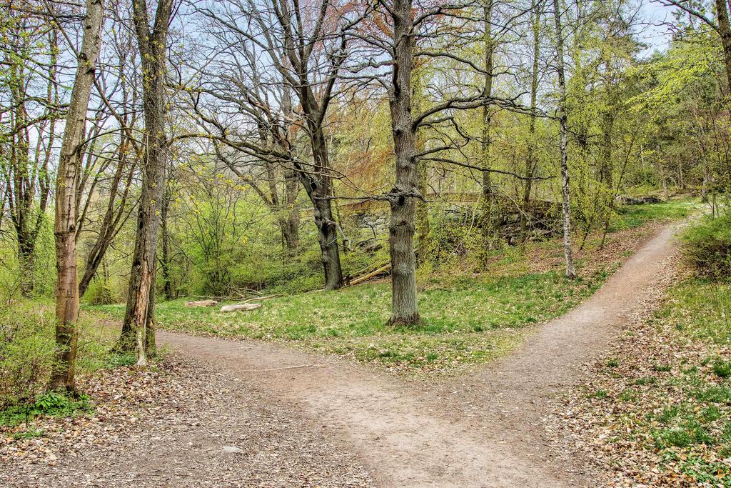 Fina strövområden i Kappsta Naturreservat i närområdet