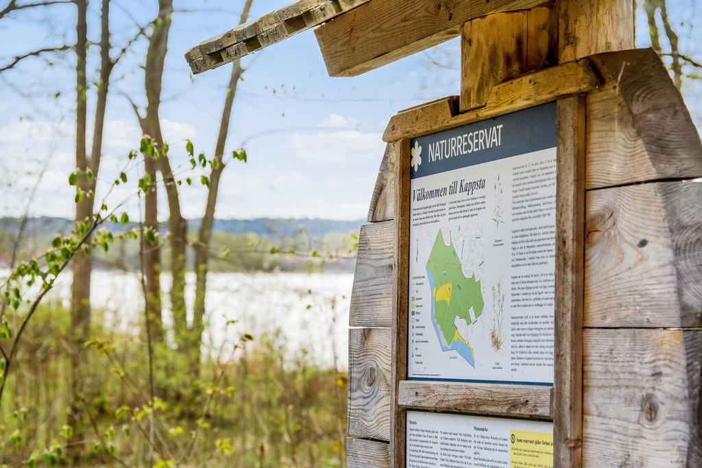 Härliga Kappsta Naturreservat med fina promenadstråk i närområdet